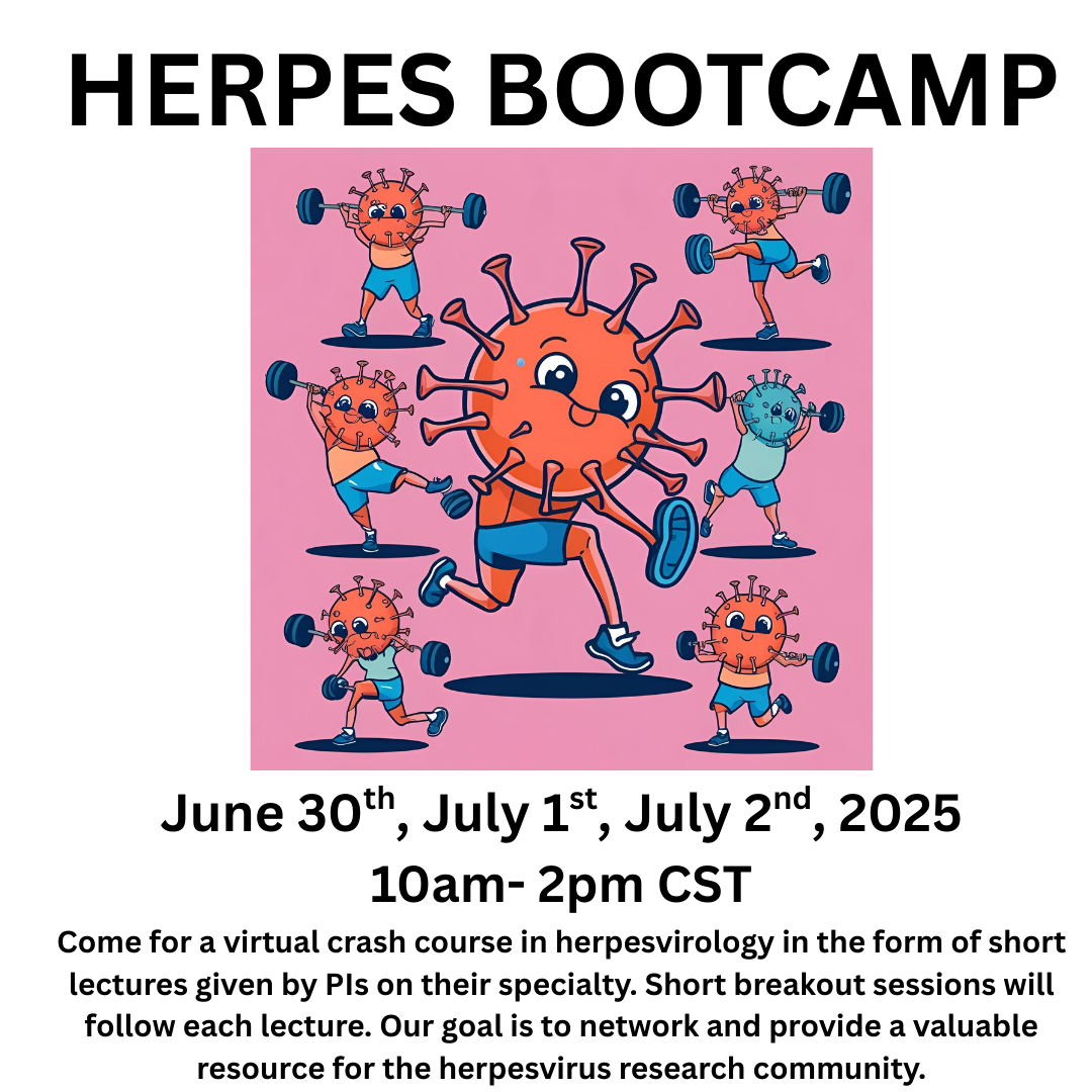 bootcamp
