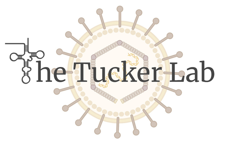 Tucker Lab logo, a herpesvirus and pre-tRNA are displayed